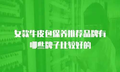 女款牛皮包保养推荐品牌有哪些牌子比较好的