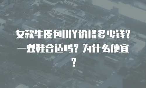 女款牛皮包DIY价格多少钱？一双鞋合适吗？为什么便宜？