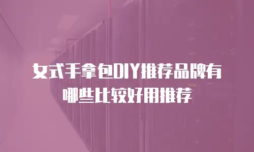 女式手拿包DIY推荐品牌有哪些比较好用推荐