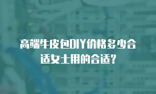 高端牛皮包DIY价格多少合适女士用的合适？