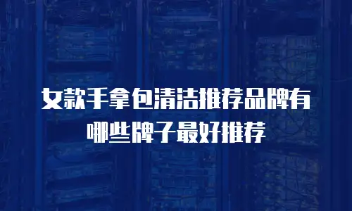 女款手拿包清洁推荐品牌有哪些牌子最好推荐