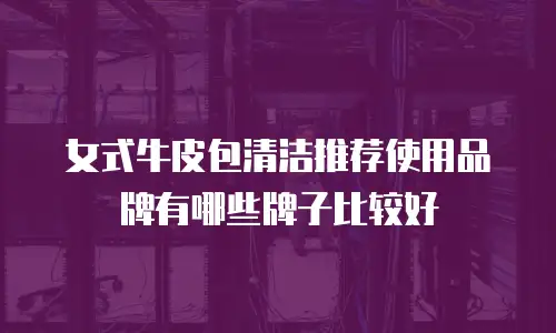 女式牛皮包清洁推荐使用品牌有哪些牌子比较好
