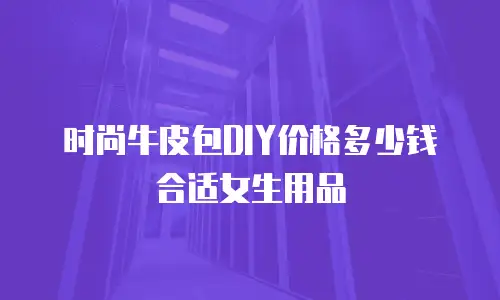 时尚牛皮包DIY价格多少钱合适女生用品
