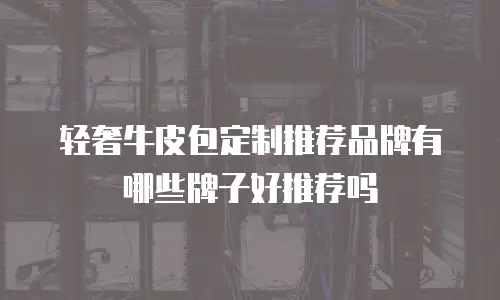轻奢牛皮包定制推荐品牌有哪些牌子好推荐吗