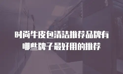 时尚牛皮包清洁推荐品牌有哪些牌子最好用的推荐