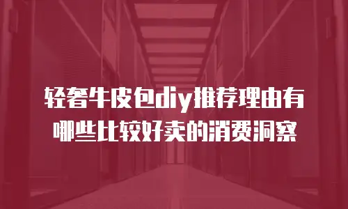 轻奢牛皮包diy推荐理由有哪些比较好卖的消费洞察