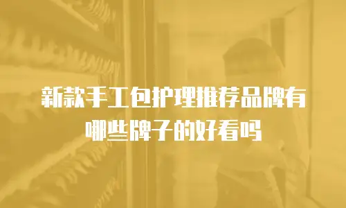 新款手工包护理推荐品牌有哪些牌子的好看吗