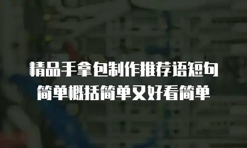 精品手拿包制作推荐语短句简单概括简单又好看简单