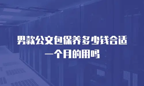 男款公文包保养多少钱合适一个月的用吗