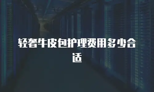 轻奢牛皮包护理费用多少合适