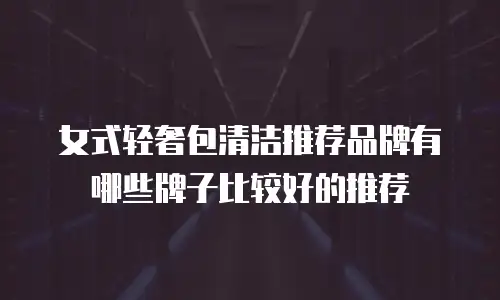 女式轻奢包清洁推荐品牌有哪些牌子比较好的推荐