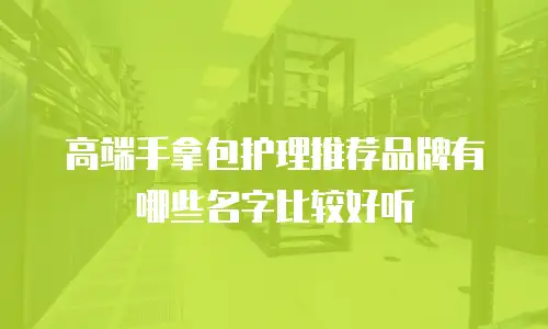 高端手拿包护理推荐品牌有哪些名字比较好听