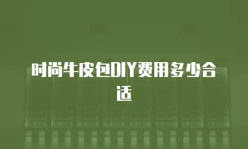 时尚牛皮包DIY费用多少合适
