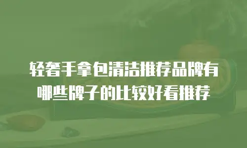 轻奢手拿包清洁推荐品牌有哪些牌子的比较好看推荐