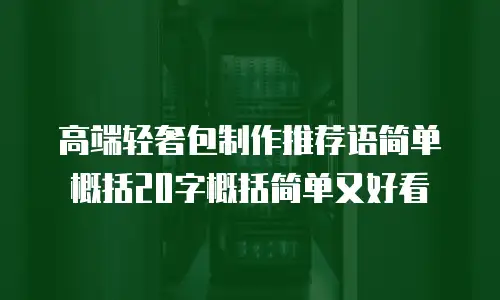 高端轻奢包制作推荐语简单概括20字概括简单又好看