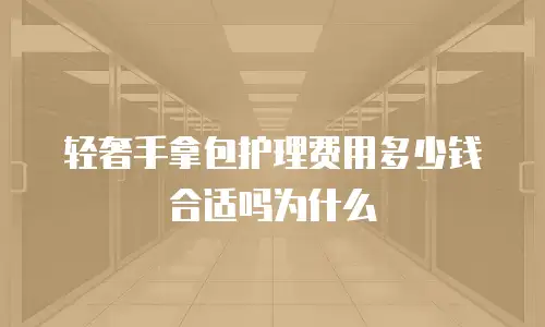 轻奢手拿包护理费用多少钱合适吗为什么