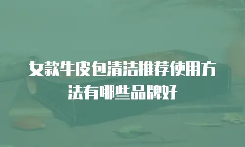 女款牛皮包清洁推荐使用方法有哪些品牌好
