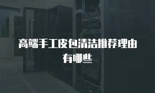 高端手工皮包清洁推荐理由有哪些