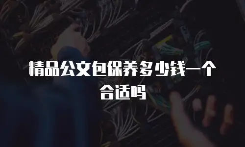 精品公文包保养多少钱一个合适吗