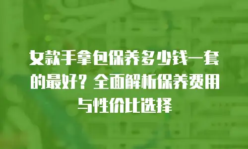 女款手拿包保养多少钱一套的最好？全面解析保养费用与性价比选择