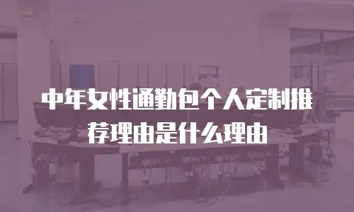 中年女性通勤包个人定制推荐理由是什么理由