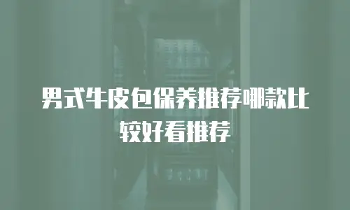 男式牛皮包保养推荐哪款比较好看推荐