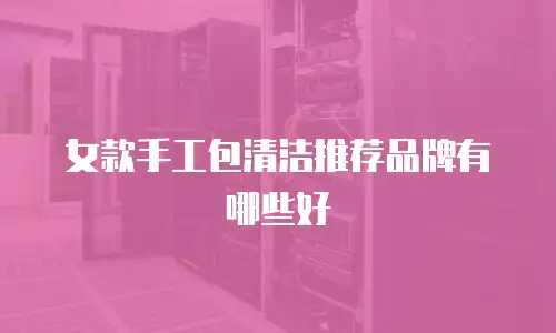 女款手工包清洁推荐品牌有哪些好