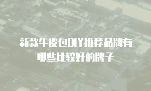 新款牛皮包DIY推荐品牌有哪些比较好的牌子