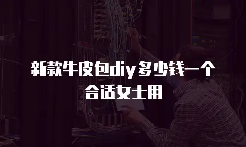 新款牛皮包diy多少钱一个合适女士用