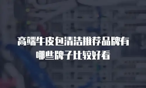 高端牛皮包清洁推荐品牌有哪些牌子比较好看