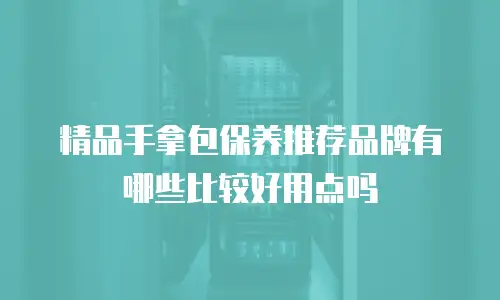 精品手拿包保养推荐品牌有哪些比较好用点吗