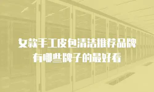 女款手工皮包清洁推荐品牌有哪些牌子的最好看
