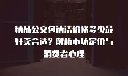 精品公文包清洁价格多少最好卖合适？解析市场定价与消费者心理