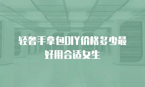 轻奢手拿包DIY价格多少最好用合适女生