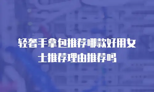 轻奢手拿包推荐哪款好用女士推荐理由推荐吗
