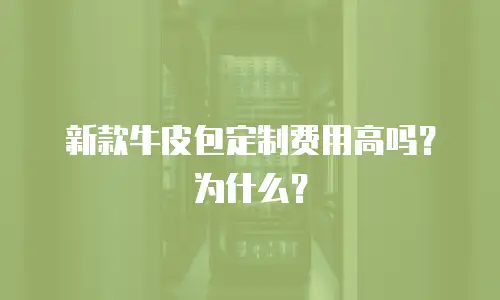 新款牛皮包定制费用高吗？为什么？