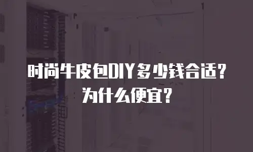 时尚牛皮包DIY多少钱合适？为什么便宜？