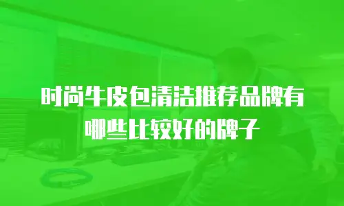 时尚牛皮包清洁推荐品牌有哪些比较好的牌子