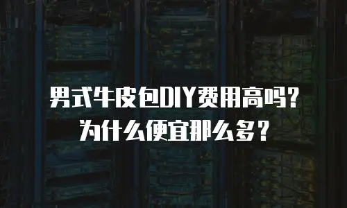 男式牛皮包DIY费用高吗？为什么便宜那么多？