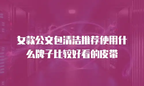 女款公文包清洁推荐使用什么牌子比较好看的皮带