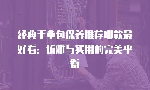 经典手拿包保养推荐哪款最好看：优雅与实用的完美平衡