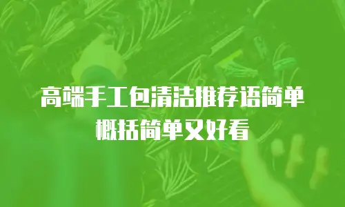 高端手工包清洁推荐语简单概括简单又好看