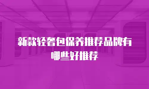新款轻奢包保养推荐品牌有哪些好推荐