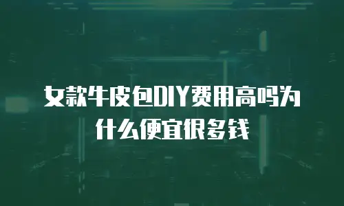 女款牛皮包DIY费用高吗为什么便宜很多钱