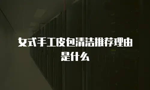 女式手工皮包清洁推荐理由是什么