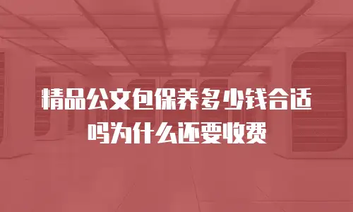 精品公文包保养多少钱合适吗为什么还要收费
