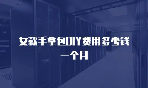 女款手拿包DIY费用多少钱一个月