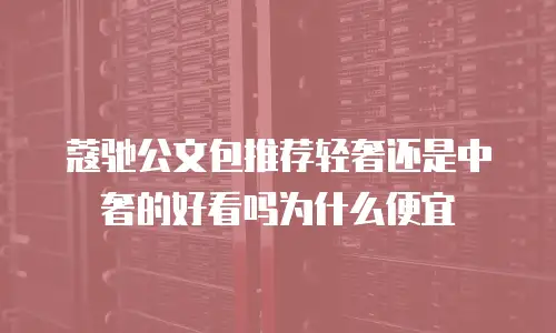 蔻驰公文包推荐轻奢还是中奢的好看吗为什么便宜