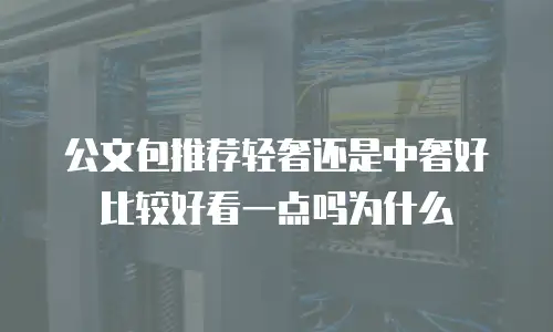公文包推荐轻奢还是中奢好比较好看一点吗为什么