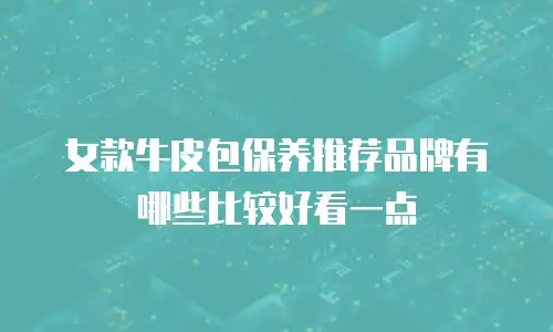 女款牛皮包保养推荐品牌有哪些比较好看一点